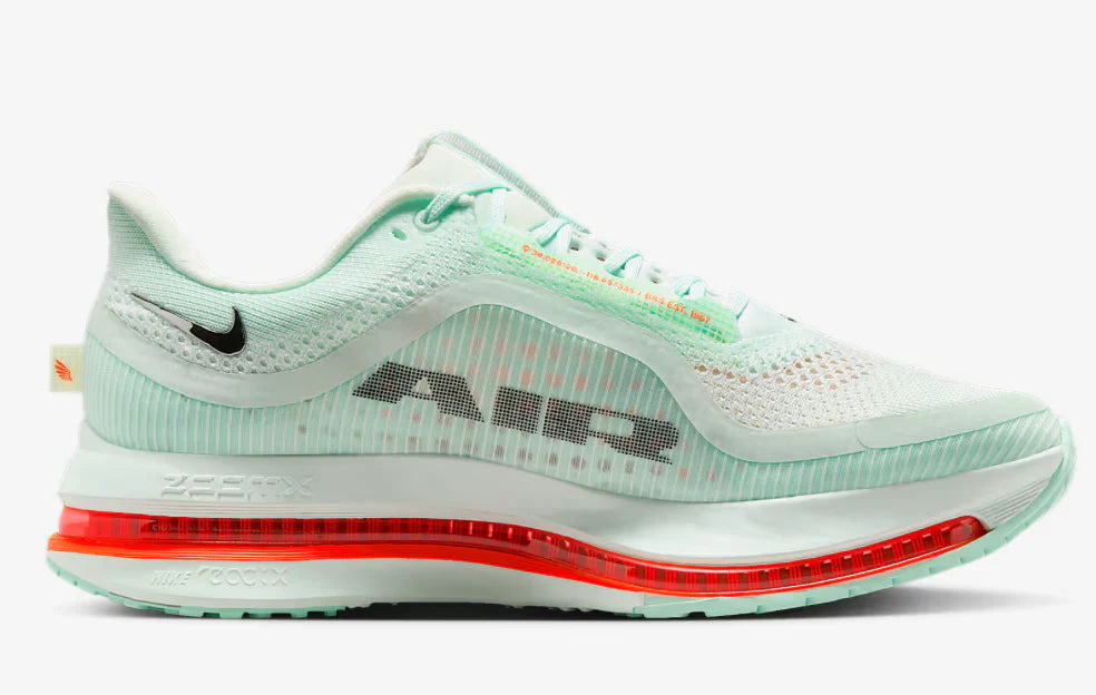 Mens Nike Pegasus Premium