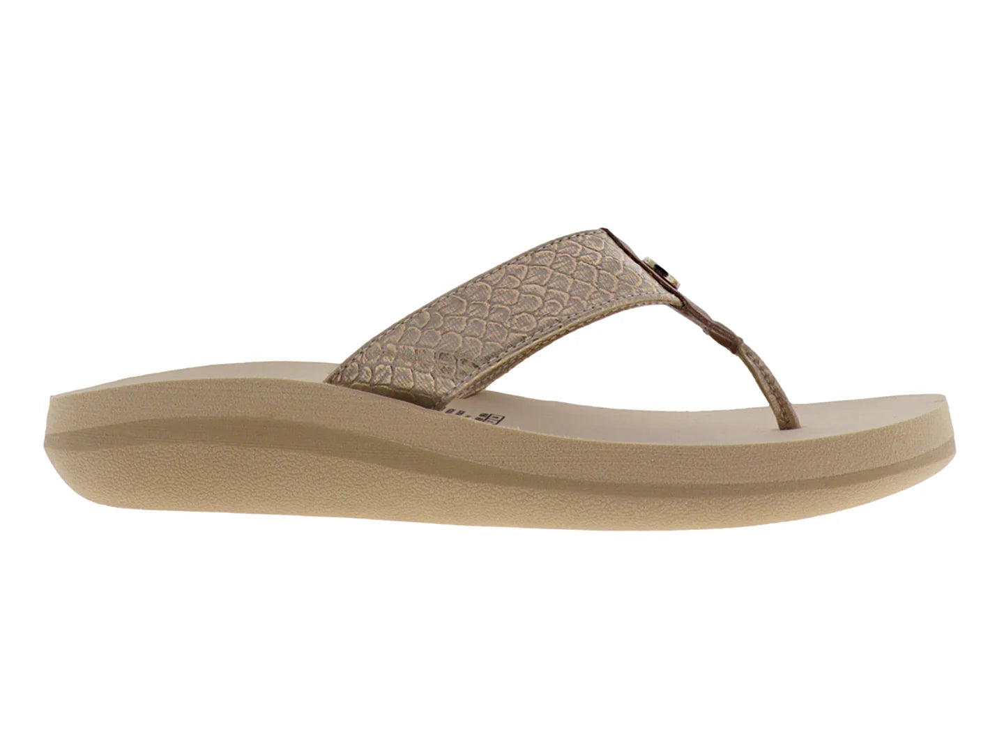 Sandalias Mosquitos Color Oro para Mujer
