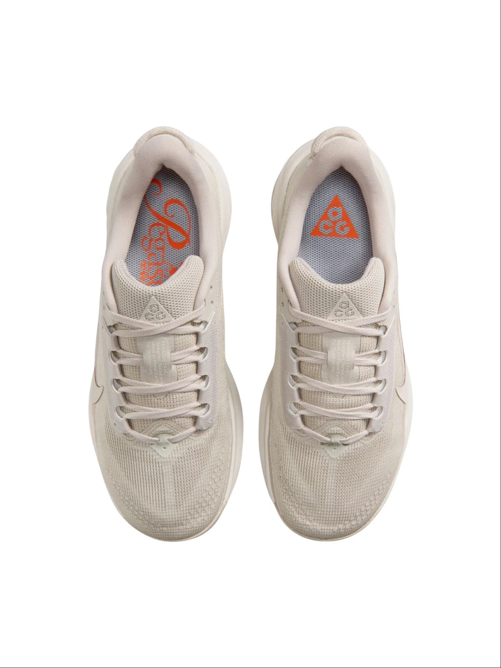 Nike ACG Pegasus Trail Womens Shoes