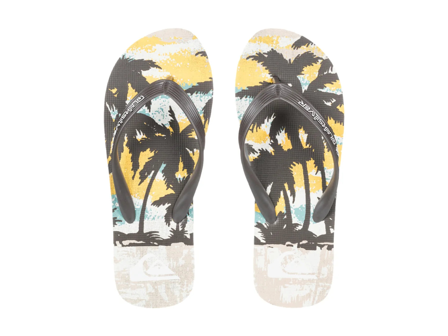 Sandalias Quiksilver Molokai Art Birch Tropicamo para Hombre