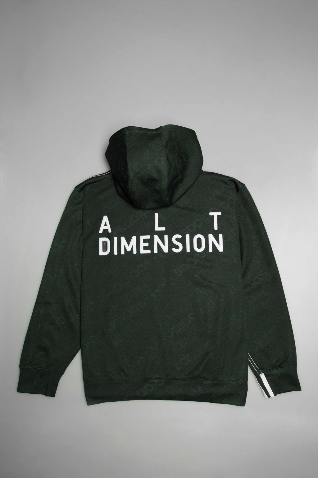Alexander Wang Collection Jaquard Hoodie Green Green