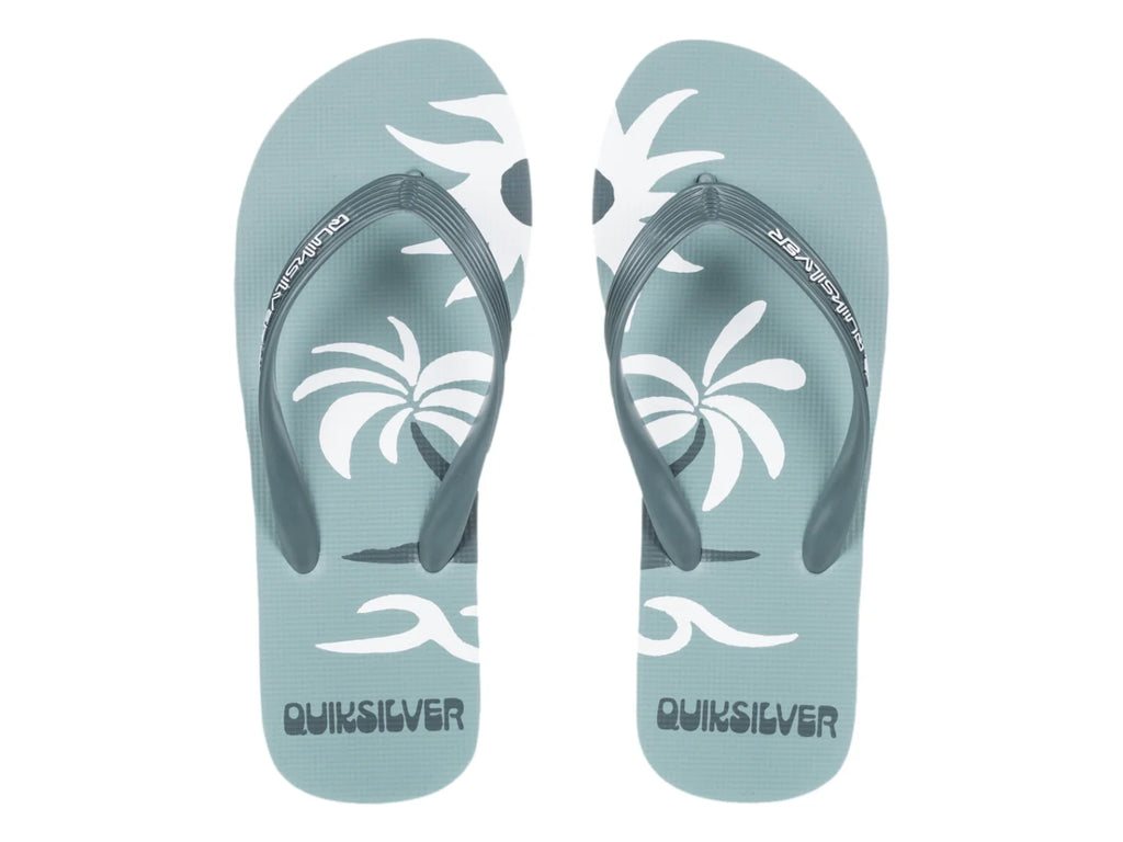 Sandalias Quiksilver Molokai Screen Color Sage para Hombre