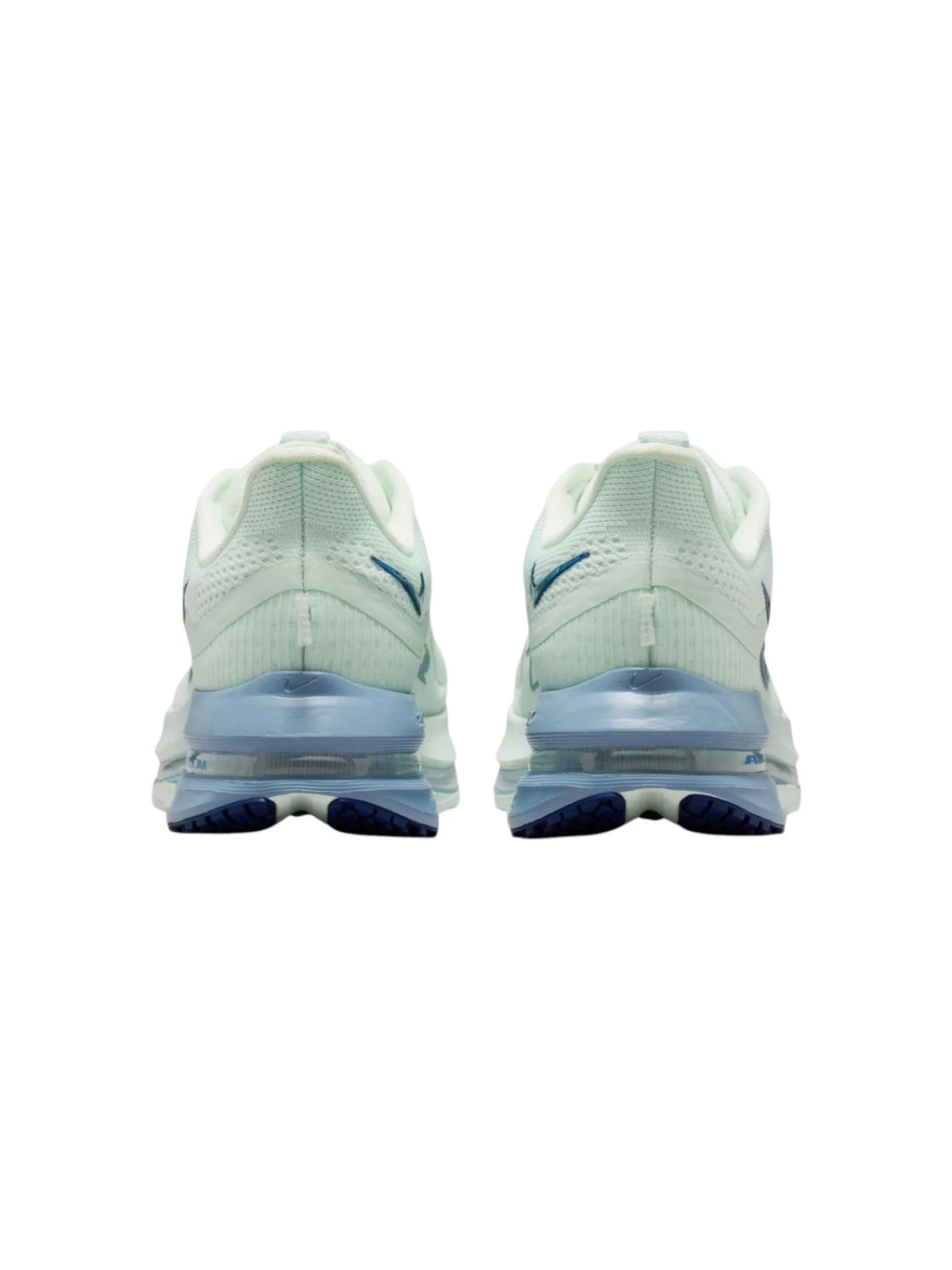 Nike Pegasus Premium Womens Shoes