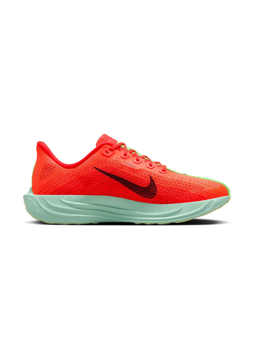 Nike Pegasus Plus Womens Shoes
