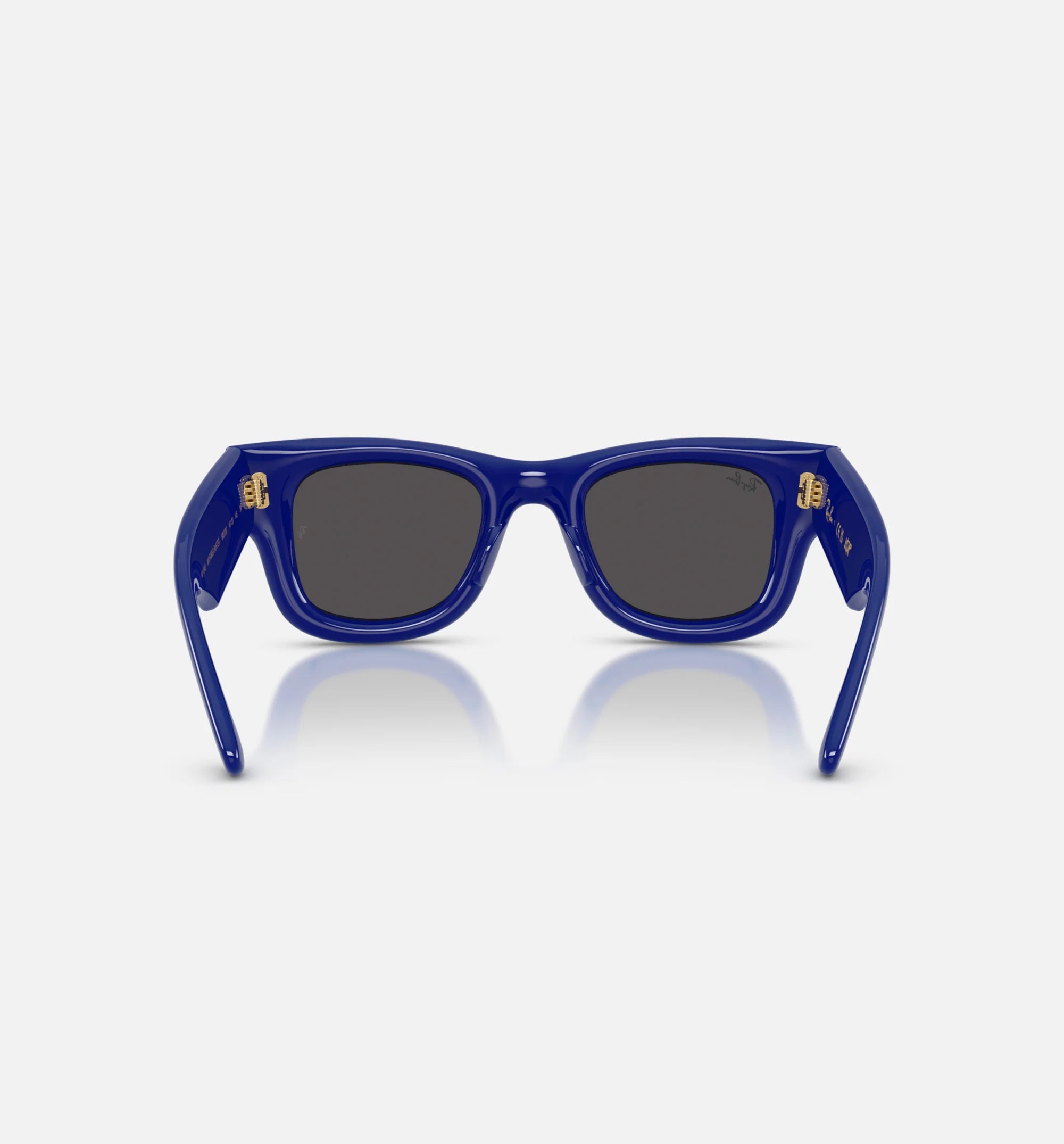 AAP Rocky x The Wayfarer Puffer Mens Sunglases Blue