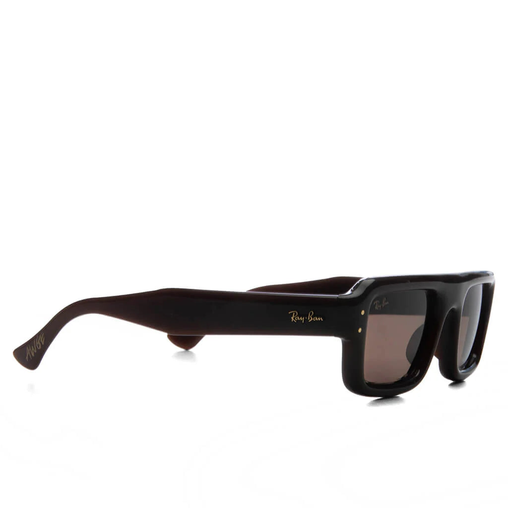 Ray Ban x AAP Rocky Flacko Puffer Transparent Brown Frame Dark Brown Lens