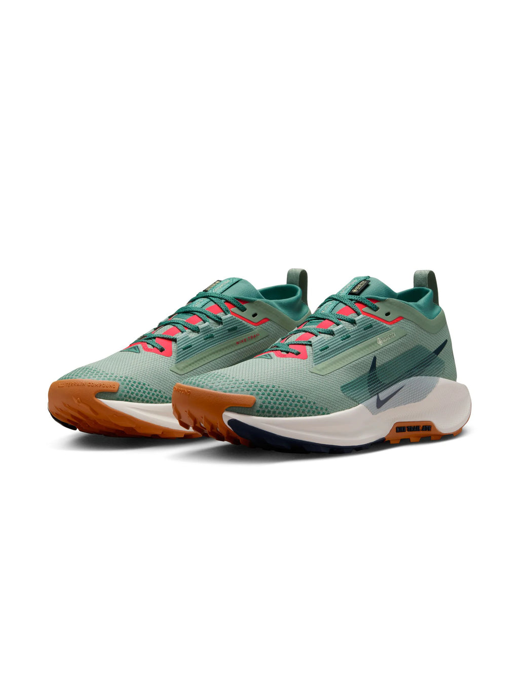 Nike Pegasus Trail 5 GORE TEX Mens Shoes
