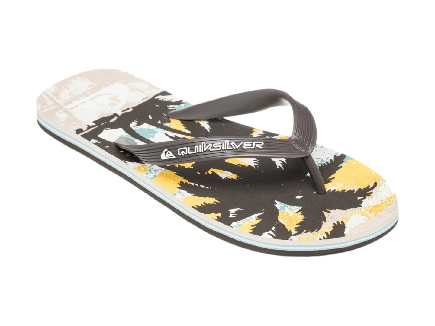 Sandalias Quiksilver Molokai Art Birch Tropicamo para Hombre