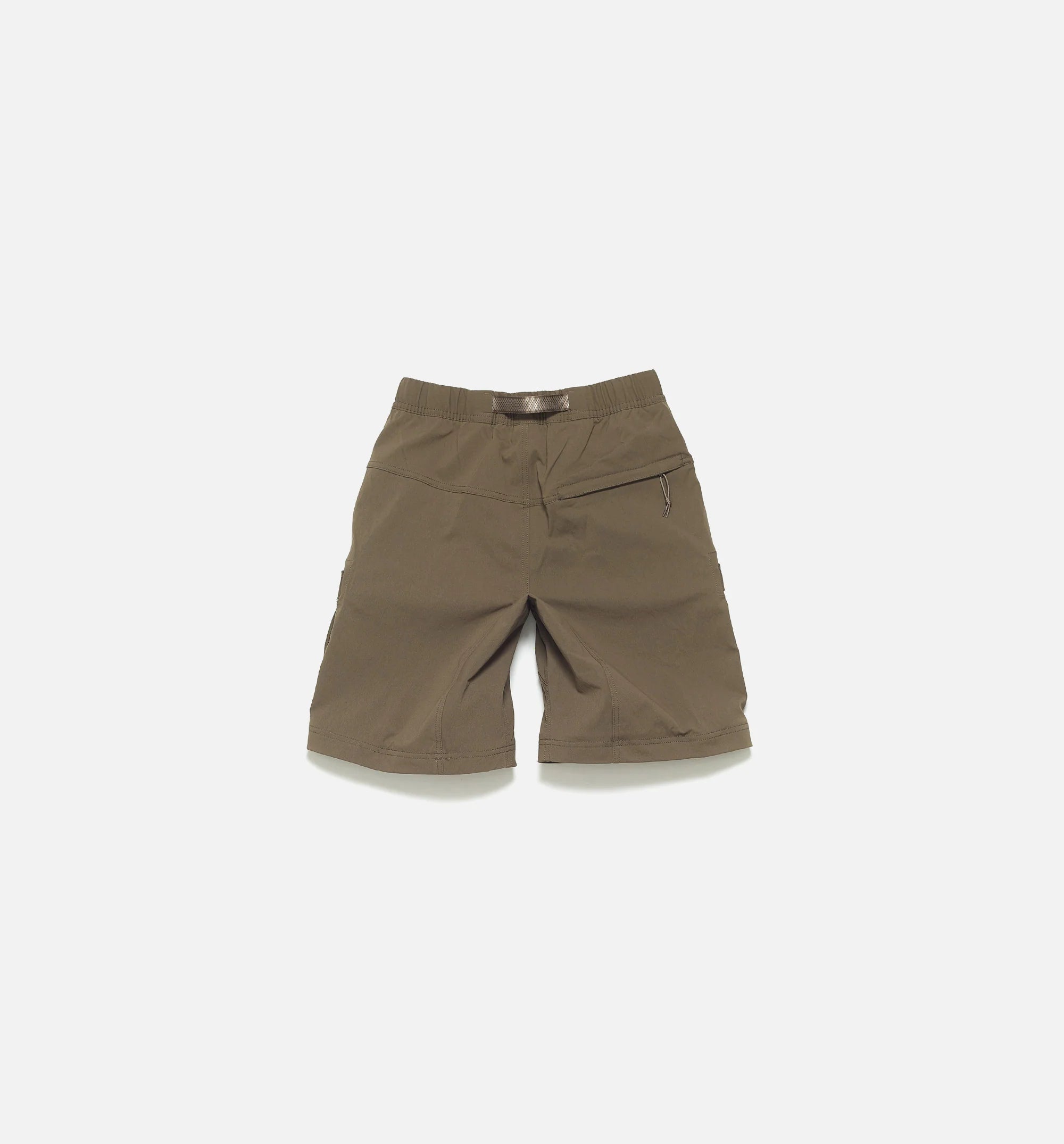 ACG Smith Summit Cargo Mens Pant Brown