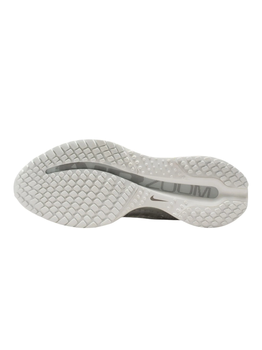 Nike Pegasus Premium Womens Shoes