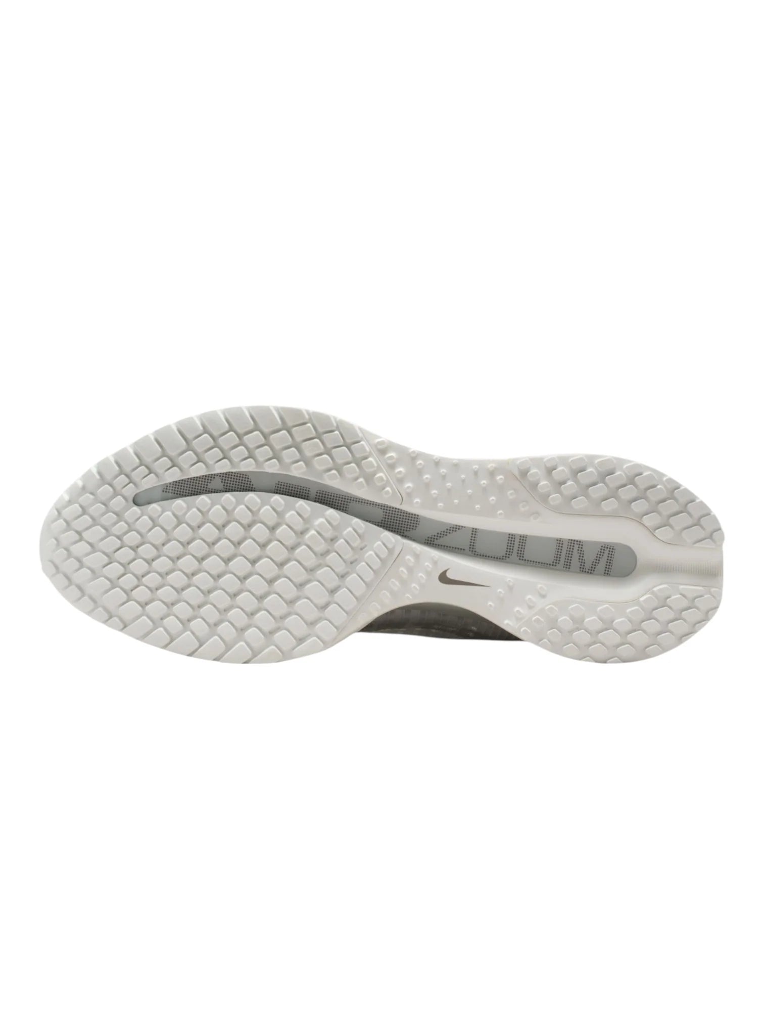 Nike Pegasus Premium Womens Shoes