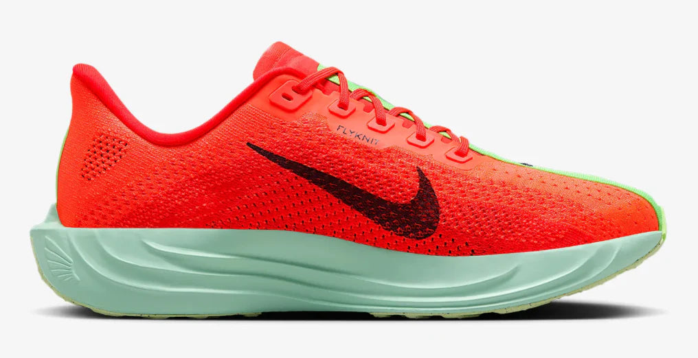 Mens Nike Pegasus Plus