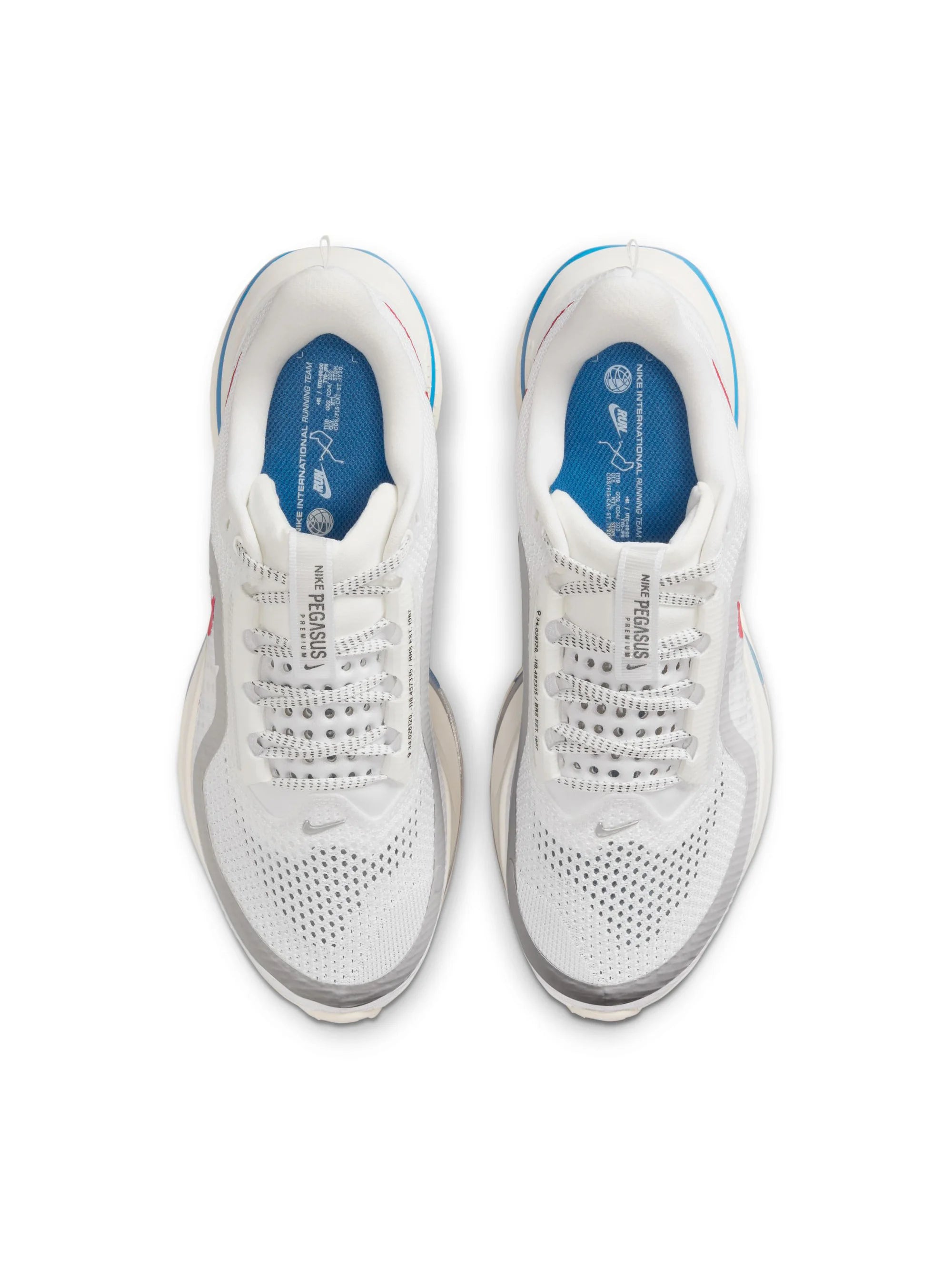 Nike Pegasus Premium Womens Shoes