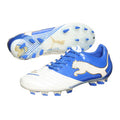 PUMA PowerCat 112 FG White Royal