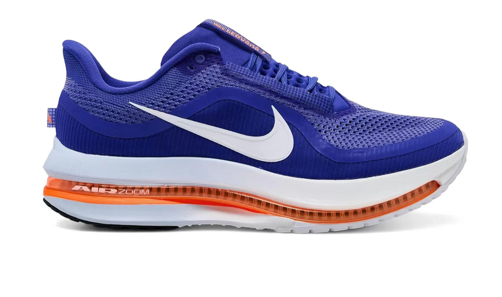 Mens Nike Pegasus Premium