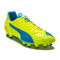 PUMA Evospeed 14 Lth FG Firm Ground Soccer Cleats Safety Yellow