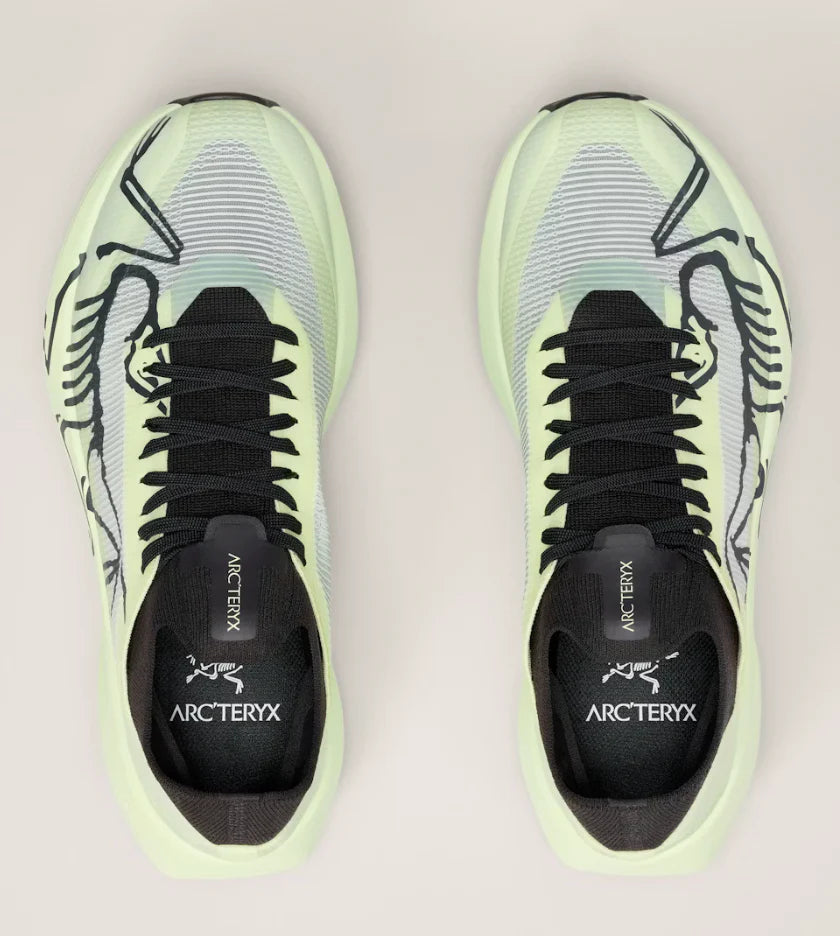 Womens Arcteryx Sylan 2