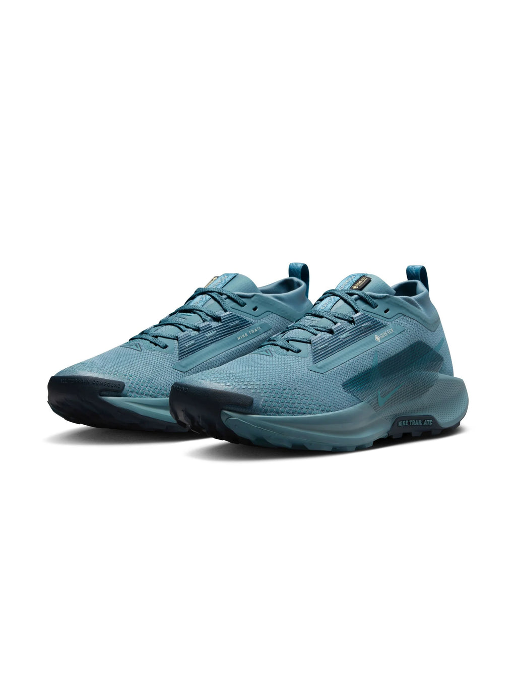 Nike Pegasus Trail 5 GORE TEX Mens Shoes