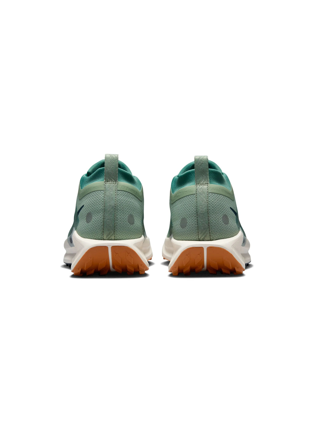 Nike Pegasus Trail 5 GORE TEX Mens Shoes