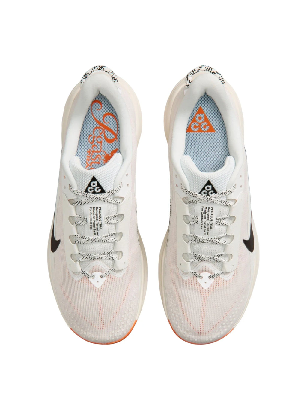 Nike ACG Pegasus Trail Mens Shoes