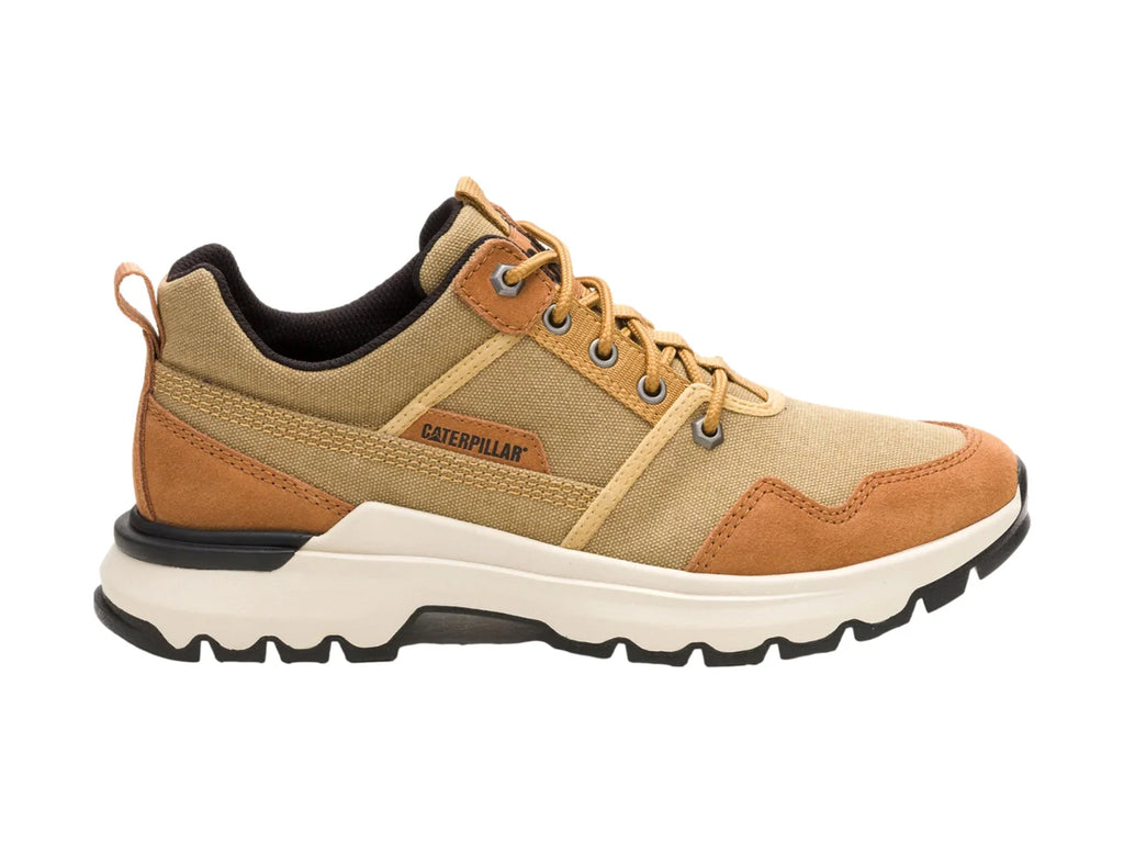 Tenis Caterpillar Colorado Sneaker Lo Curry para Hombre