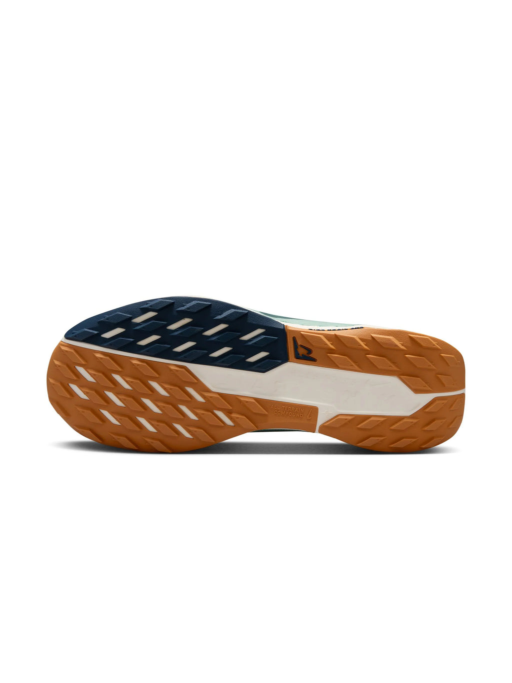 Nike Pegasus Trail 5 GORE TEX Mens Shoes